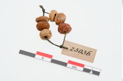 Foto von Perlenkette (NHMW-PRAE-025036)